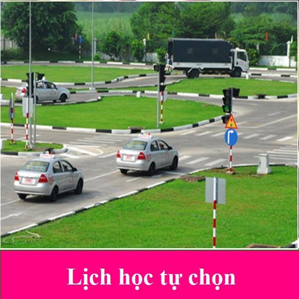 Đào tạo lái xe tại huyện Hải Hậu